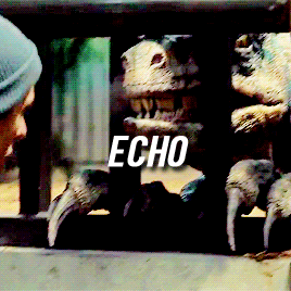 Echo (Jurassic World), Heroes Wiki